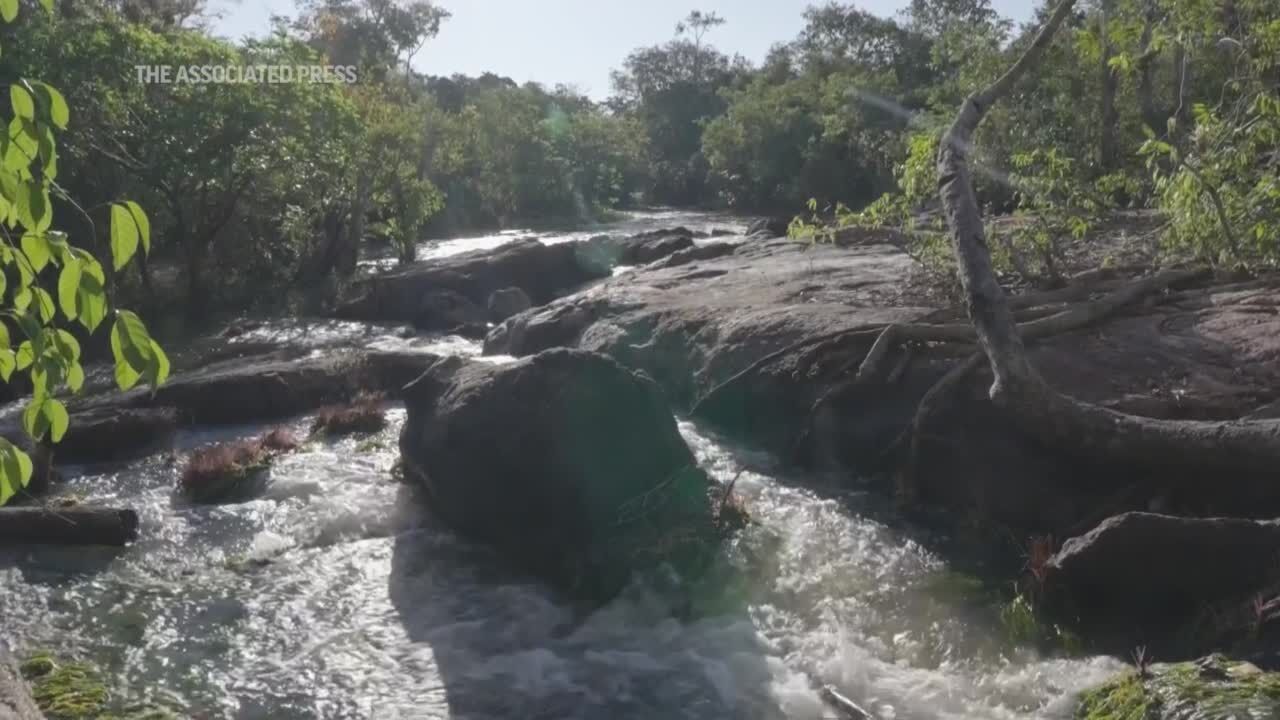 Endangered Amazon river gets personhood status